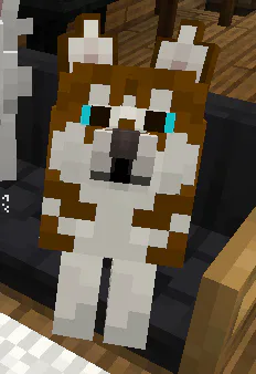 image.png image.png