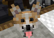 image.png image.png