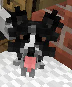 image.png image.png
