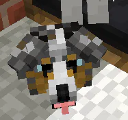 image.png image.png