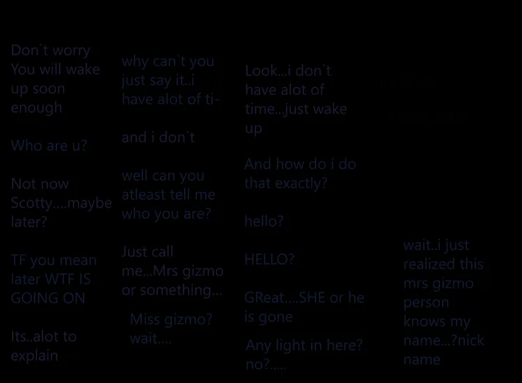 conversation_between_scott_and_mrs_gizmo_sarah.png conversation_between_scott_and_mrs_gizmo_sarah.png