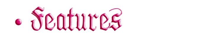 features.png