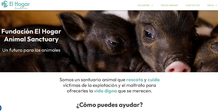 https://fundacionelhogar.org/
