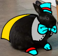 1172_20250509205528.png 1172_20250509205528.png