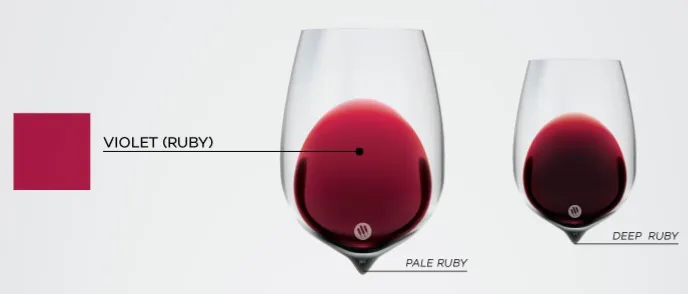 color-hue-expression-in-red-wine.jpg