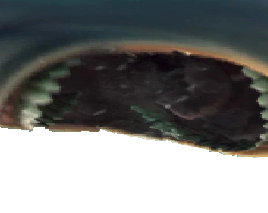 zxc.png zxc.png