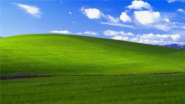 windows.jpg