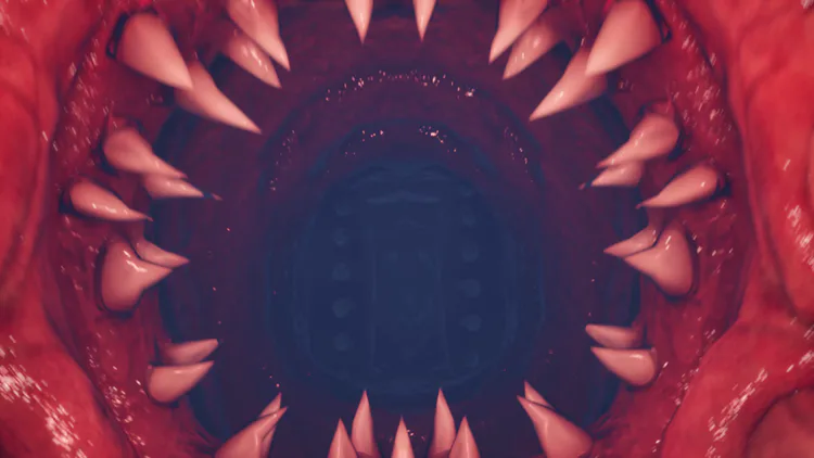 vlcsnap-2025-06-13-14h02m44s937.png vlcsnap-2025-06-13-14h02m44s937.png