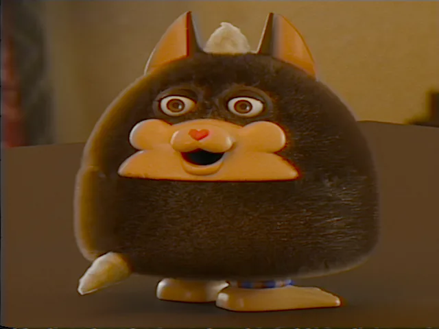 shwtt.png