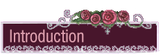 introduction.png introduction.png