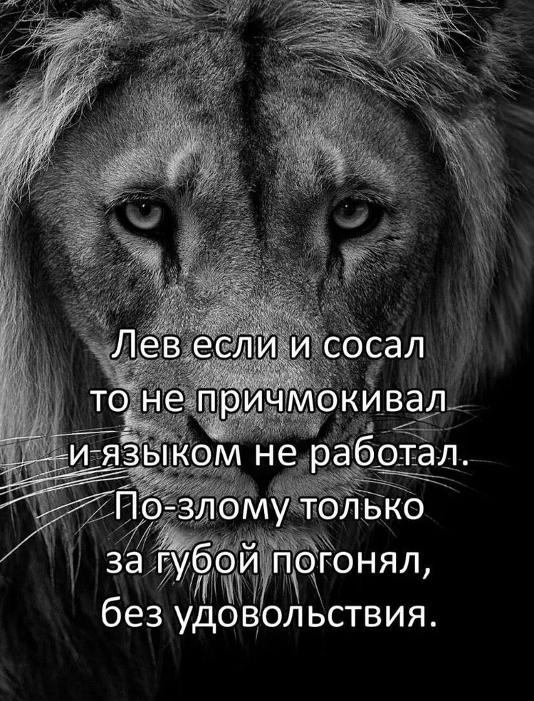 img_20250418_175515_177.jpg