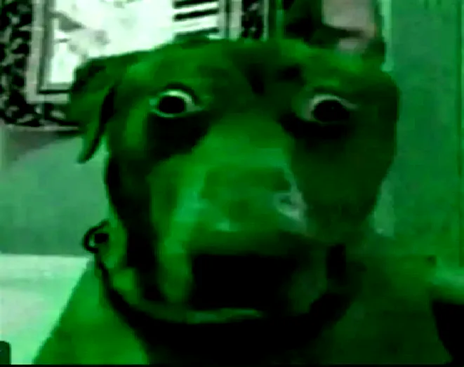 bg_saloonelevated.png bg_saloonelevated.png