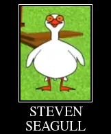 seagull.png