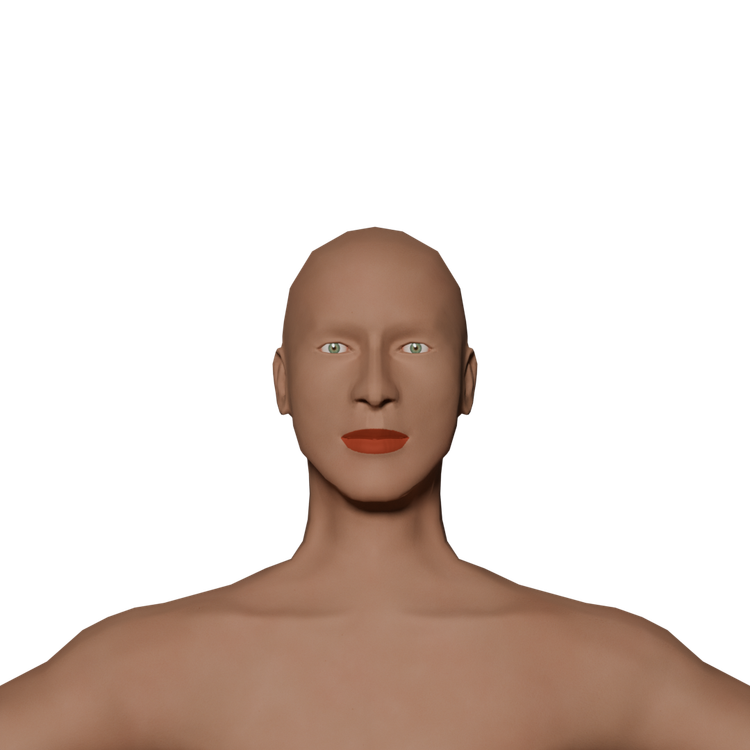 060_-_new_human_model.png