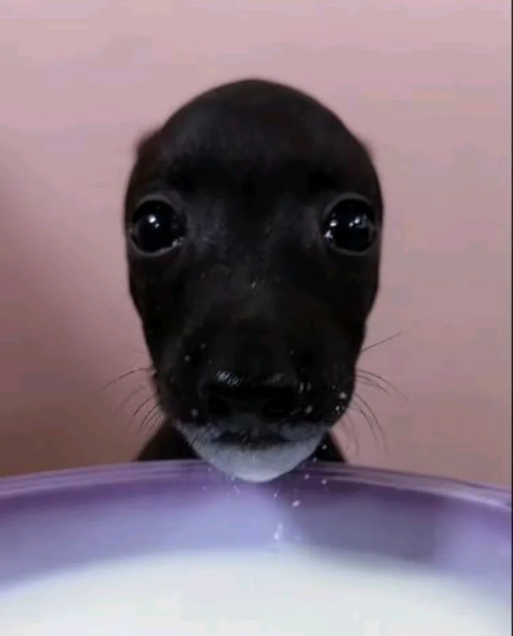 screenshot_20250707_114624_tiktok.jpg screenshot_20250707_114624_tiktok.jpg