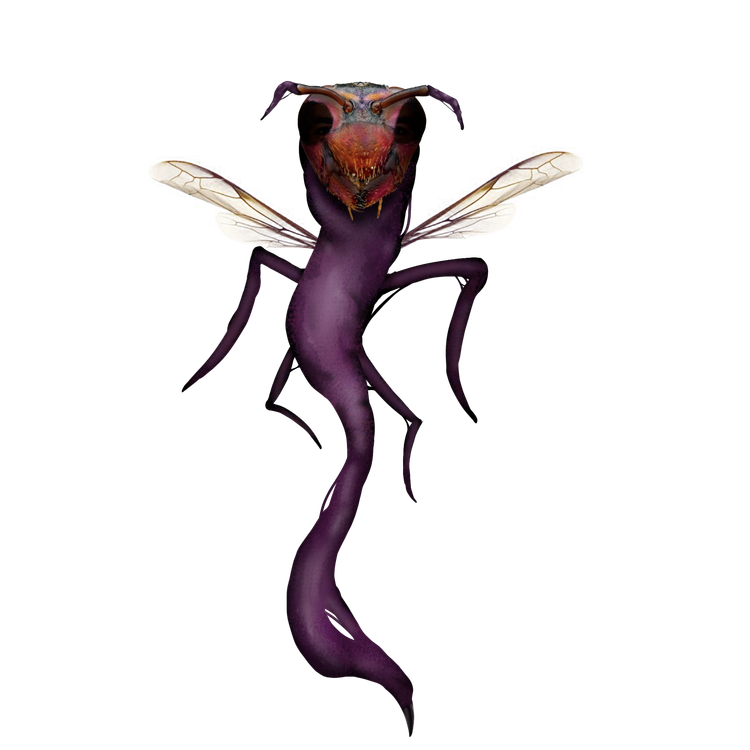 untitled71-3.png untitled71-3.png