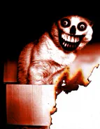 smile_cat.webp smile_cat.webp