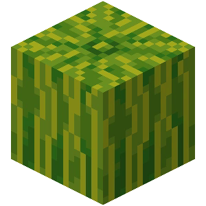 melon.webp melon.webp