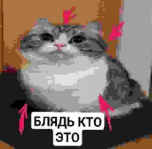 image.png image.png