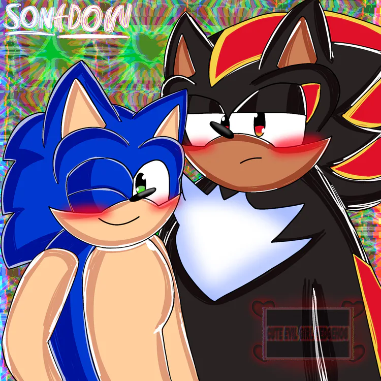 sonadow__ship_fanart__.jpg sonadow__ship_fanart__.jpg