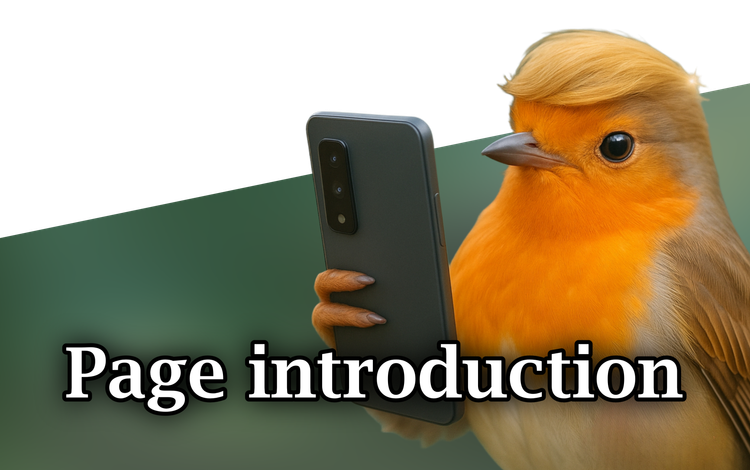 17516.png 17516.png