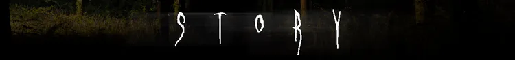 story_dh.png