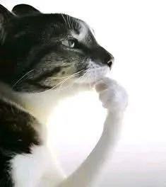20250811_182403.jpg
