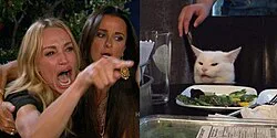 womanyellingatacat_meme.jpg