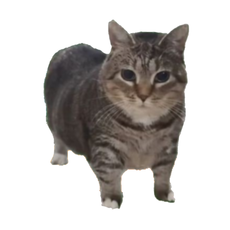 tak-berjudul879_20250718110652.png