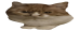 egg_png_-_copy.png
