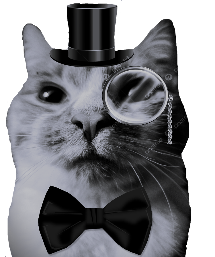 fancy_char_png.png