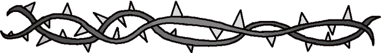 separator.png separator.png
