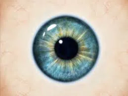 eye.jpg eye.jpg