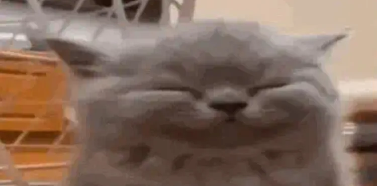 screenshot_20250822-230322_youtube.jpg