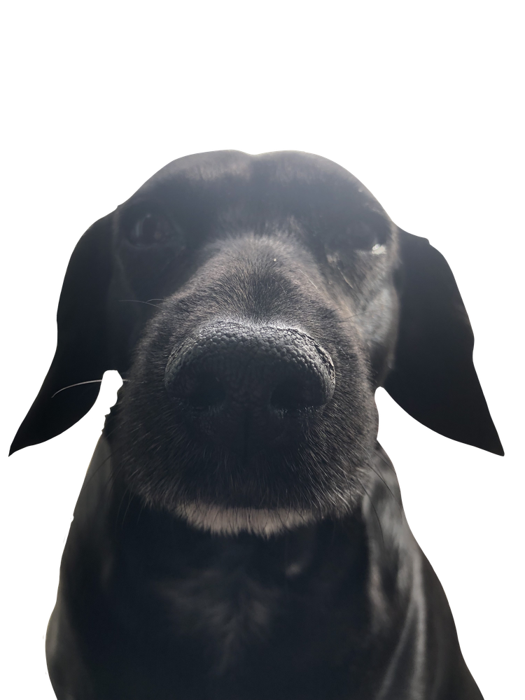 untitled1952_20250813235244.png
