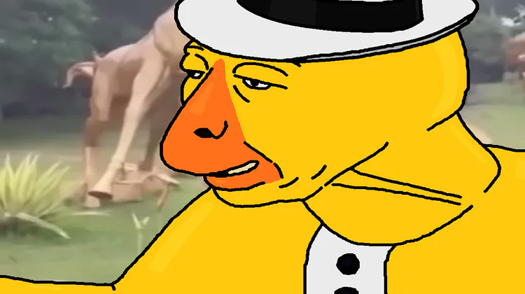 duckirl2.png duckirl2.png