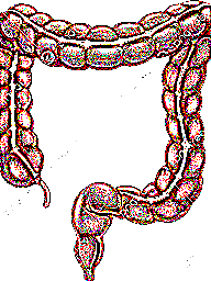 spr_gate_sewerbg_2.png spr_gate_sewerbg_2.png