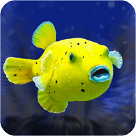 14_golden_puffer_icon.png