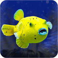 14_golden_puffer_icon.png