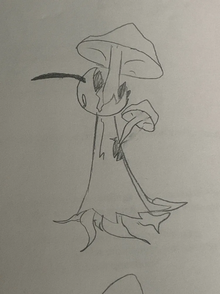 shell.jpg