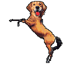 image_2025-09-18_193735044.png