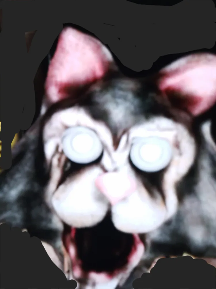 20250830_210640.jpg