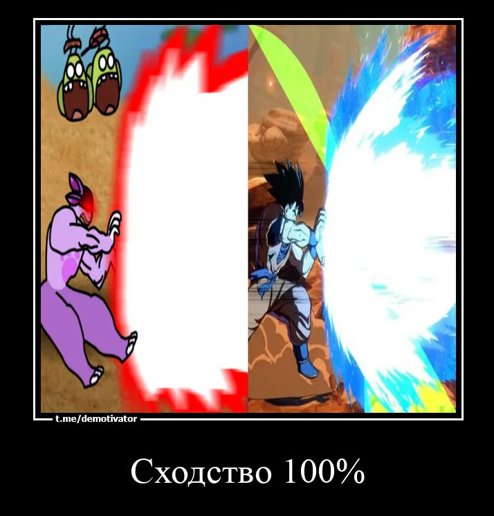 _100_4.jpg