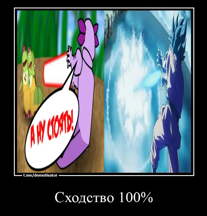 _100_5.jpg