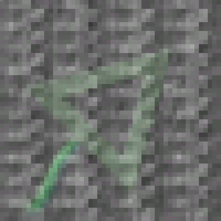 rat_tagged__01.png