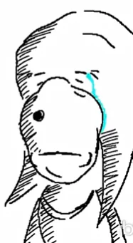 1000023508.png
