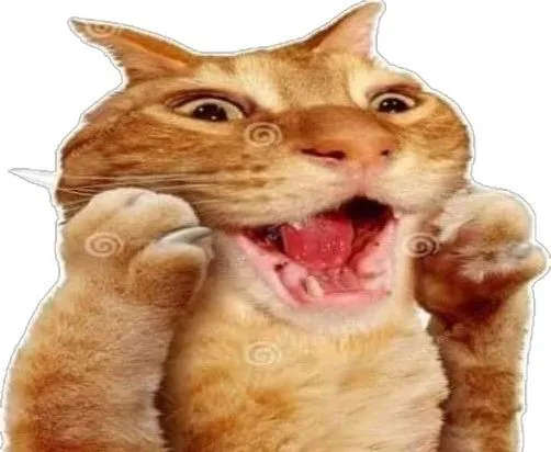 97738427b5185e128ce2552591781f45.jpg 97738427b5185e128ce2552591781f45.jpg