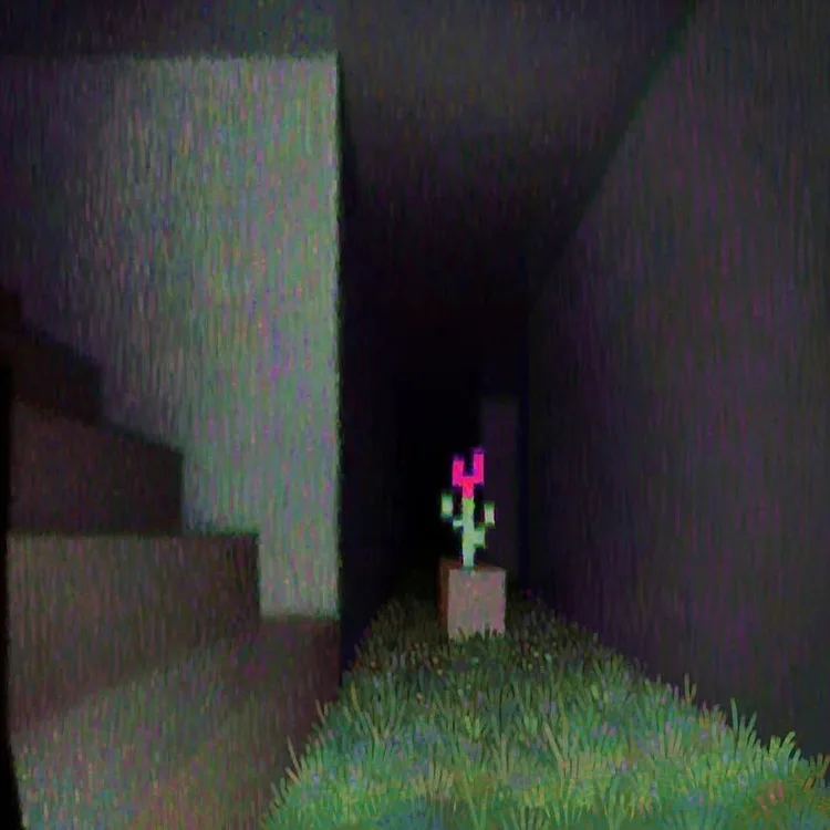 tulip.jpg