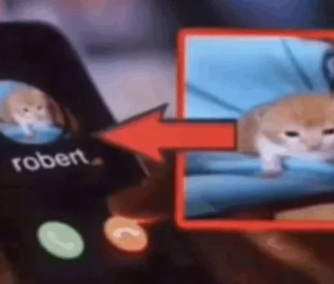 61_-_robert.png