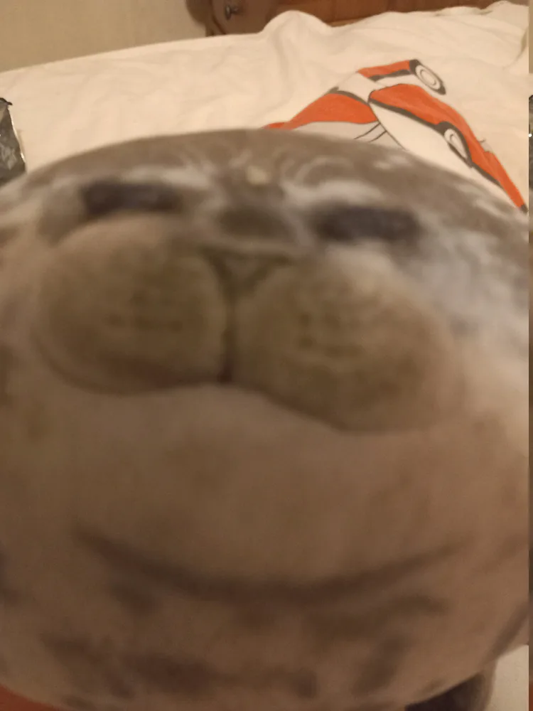 20251012_205157_compressed3470894456411360503.jpg